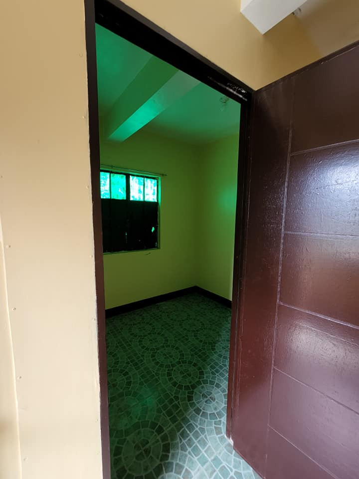 Gallery 5