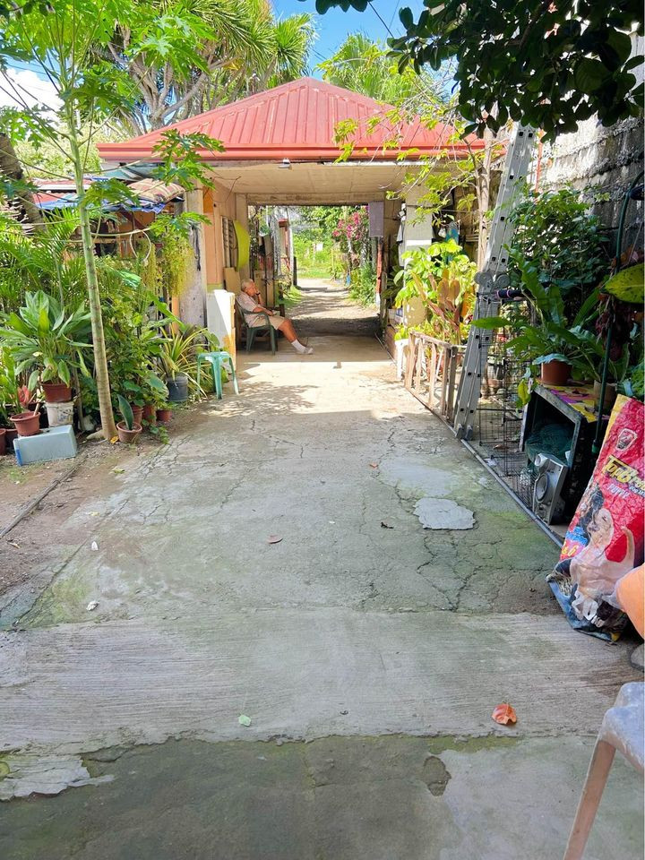 Gallery 2