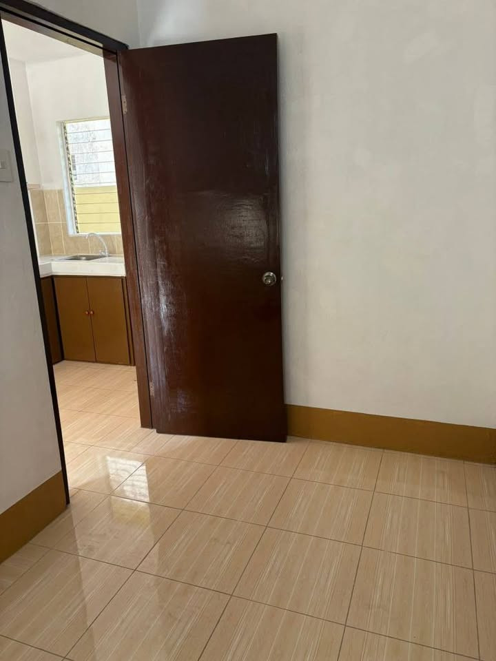 Gallery 5