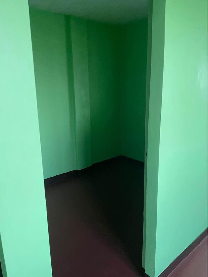 Gallery 5