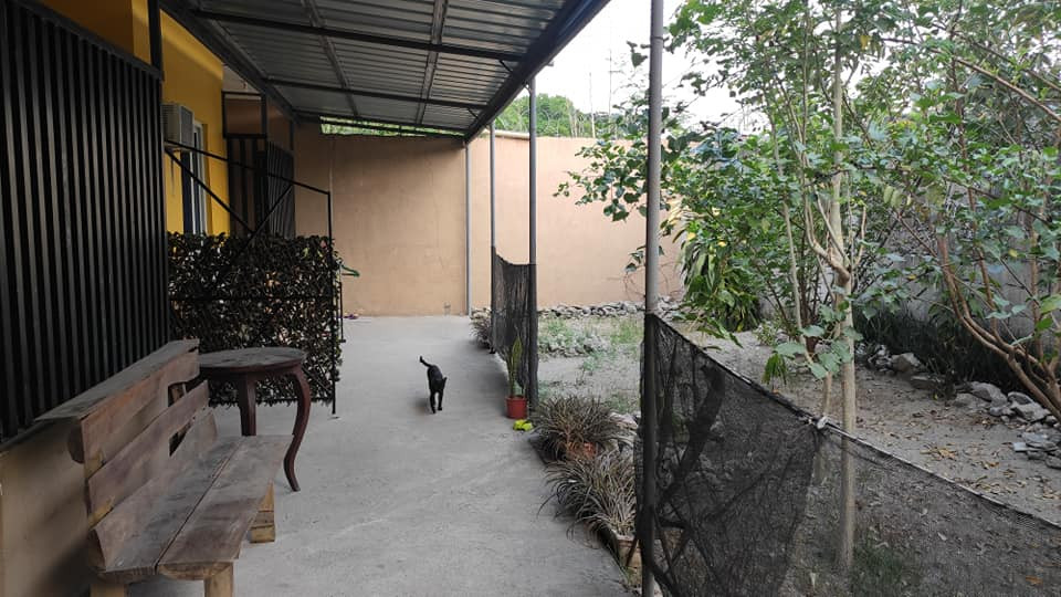 Gallery 2