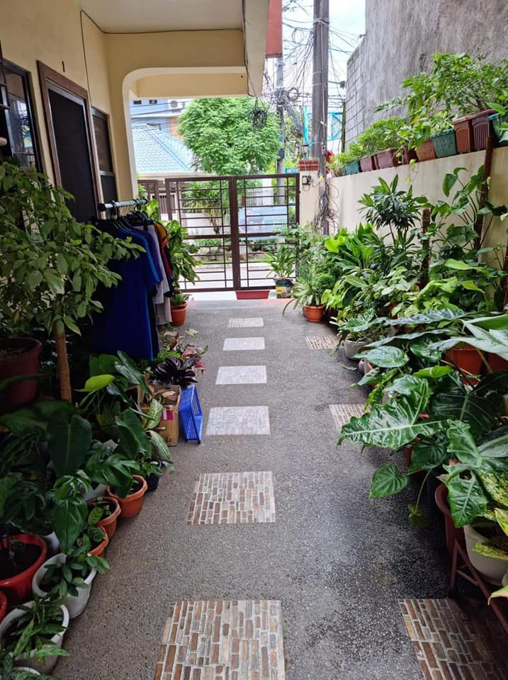 Gallery 2