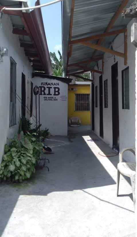 Gallery 3