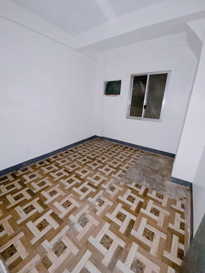 Gallery 5