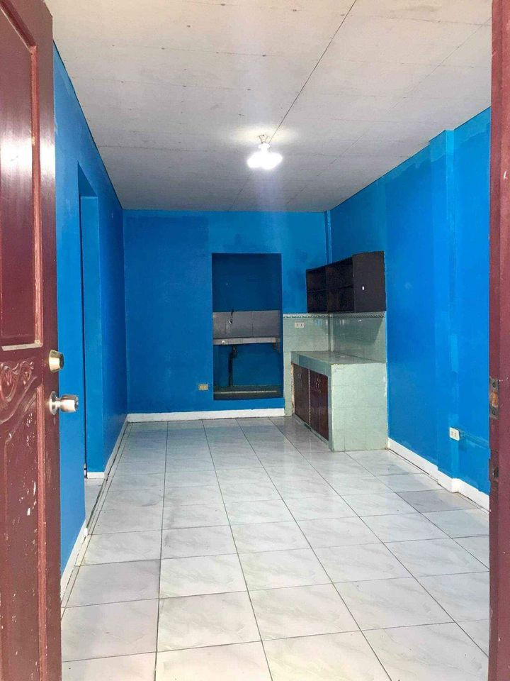 Gallery 3