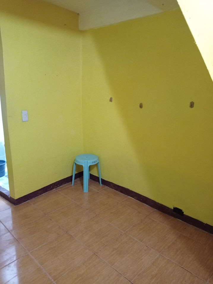 Gallery 3