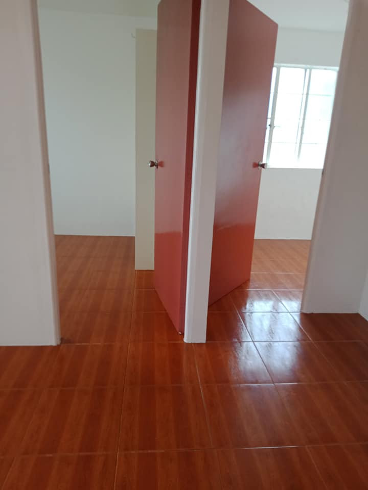 Gallery 2