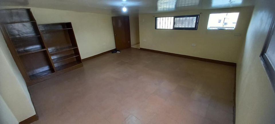 Gallery 5