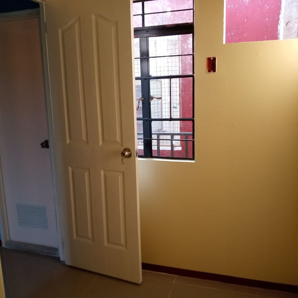 Gallery 4