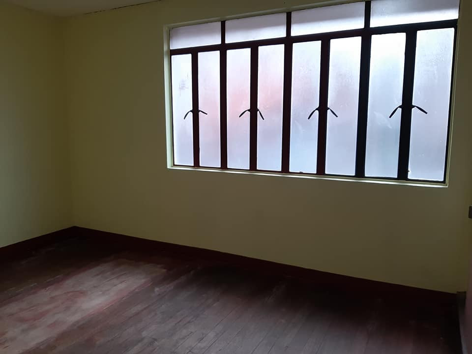 Gallery 5