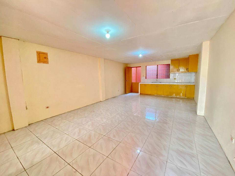 Gallery 5