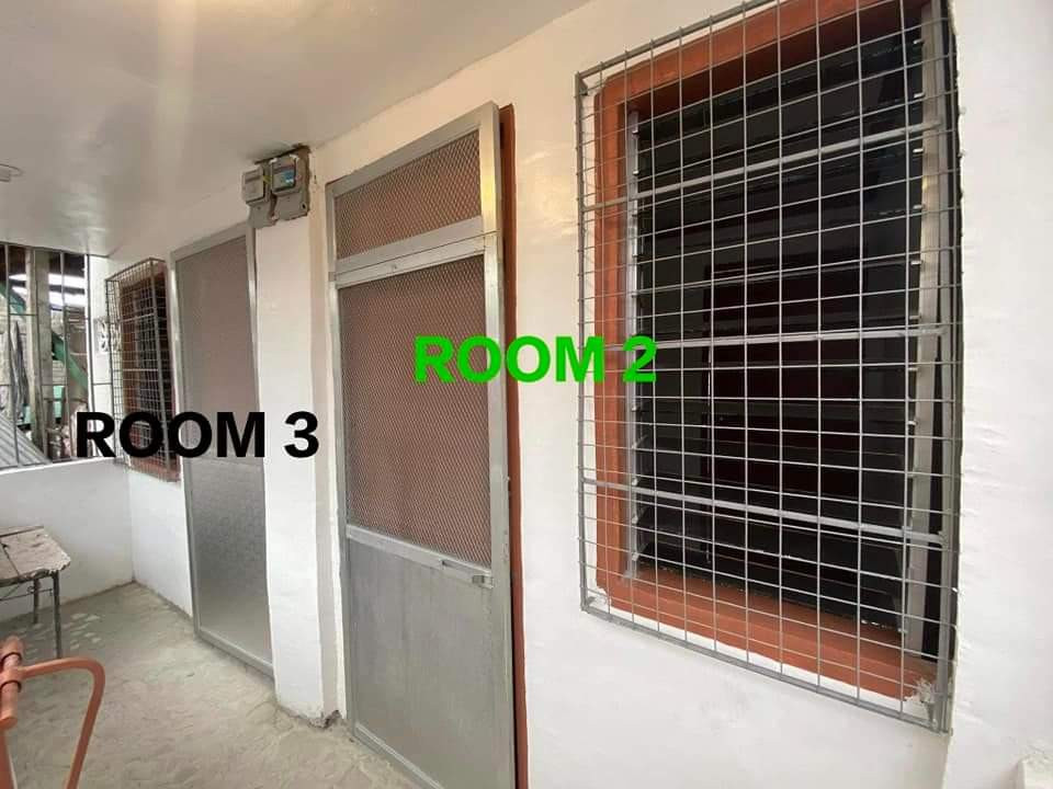 Gallery 3