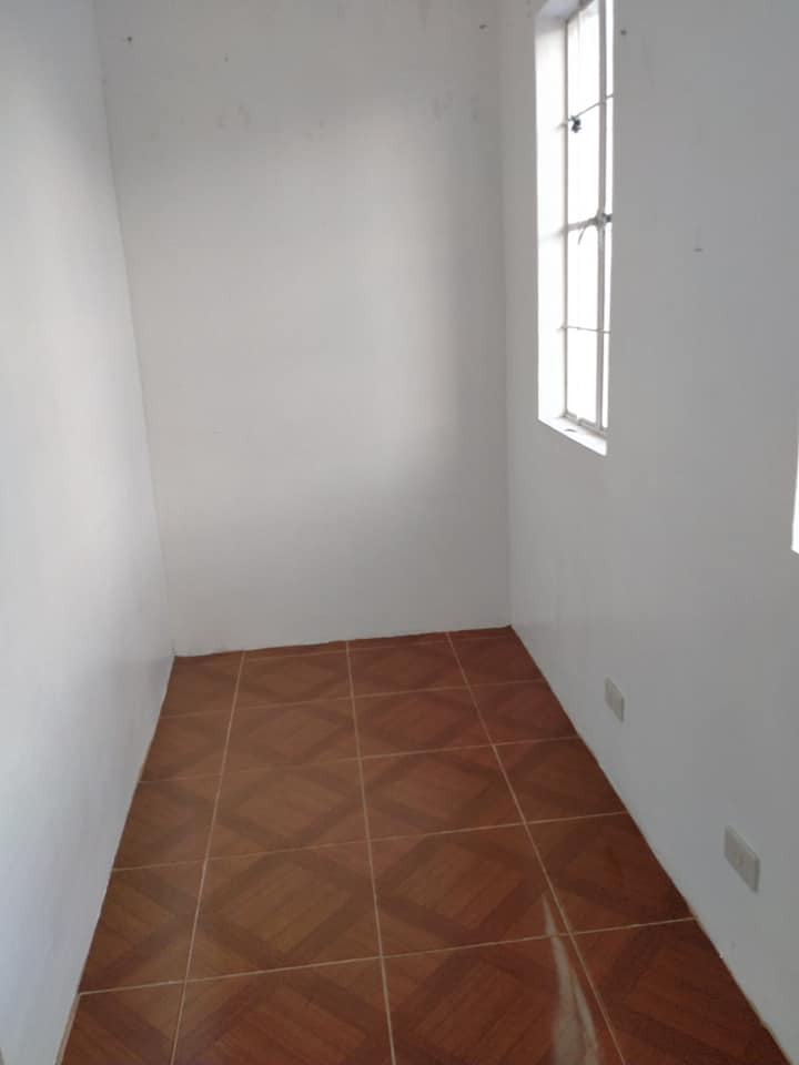 Gallery 5