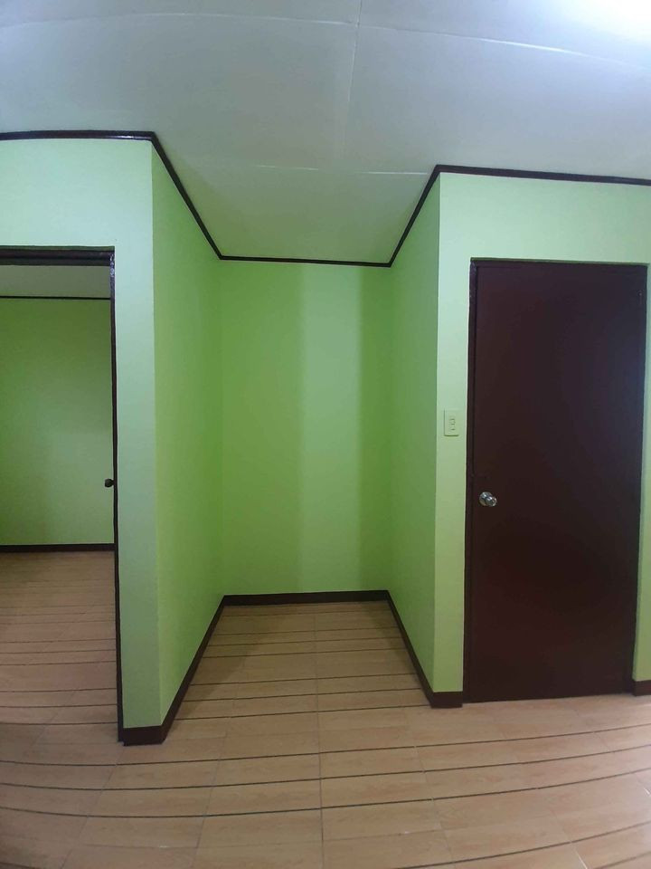Gallery 5