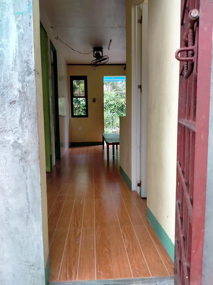 Gallery 3