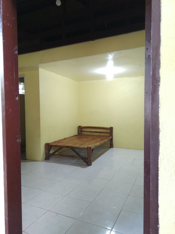 Gallery 4
