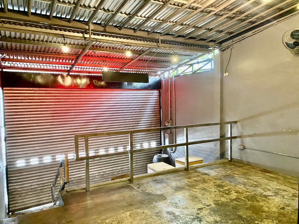 Gallery 4
