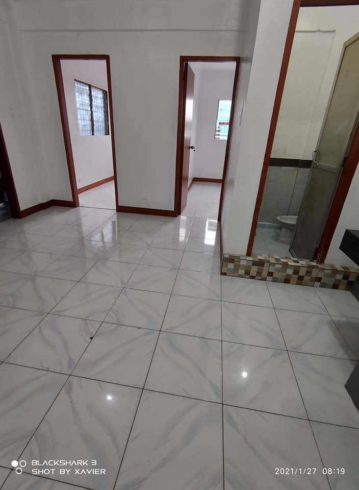 Gallery 5