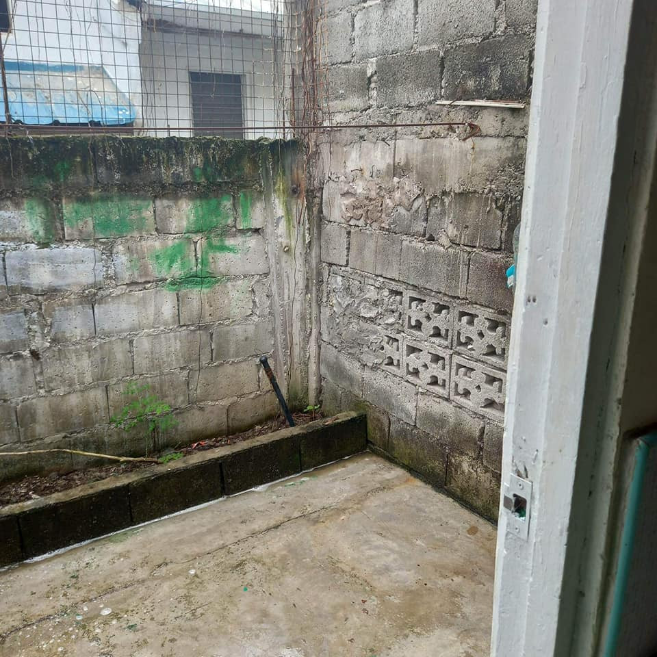 Gallery 5