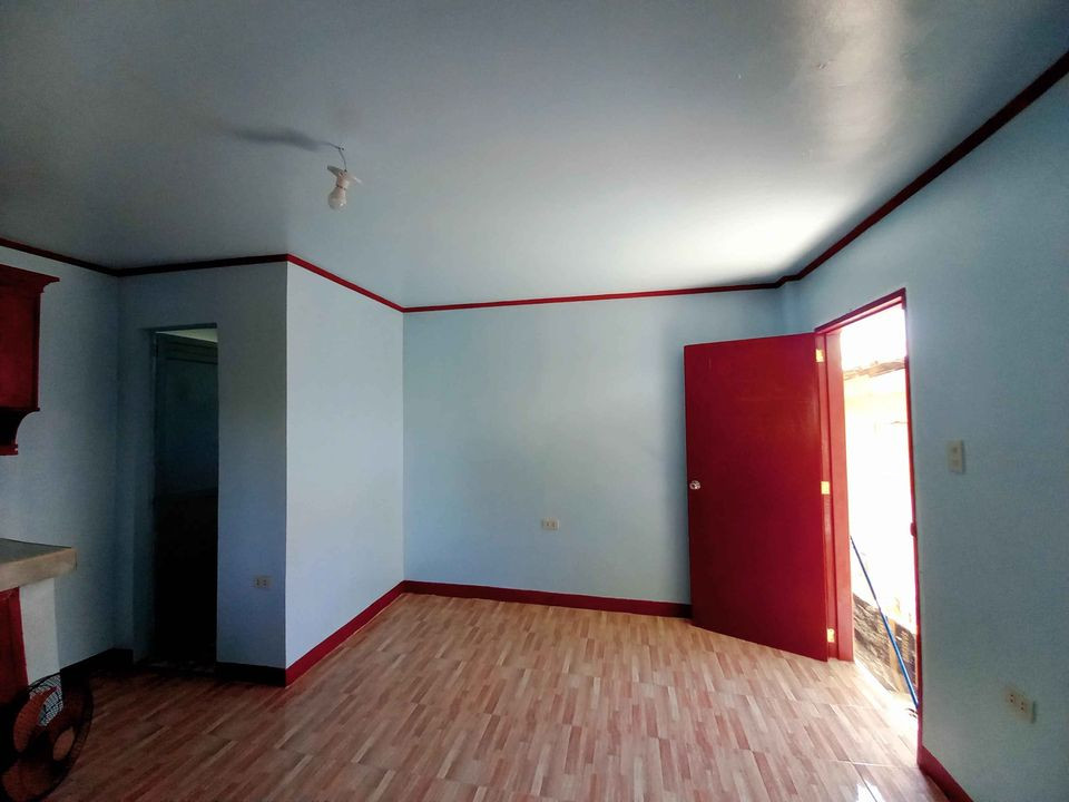 Gallery 5