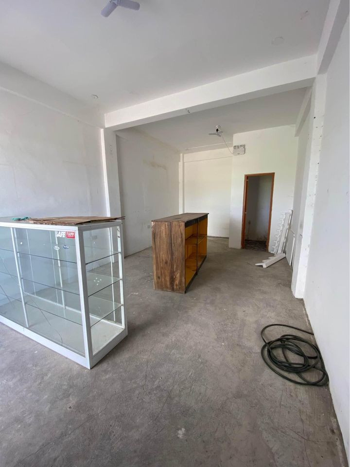 Gallery 3
