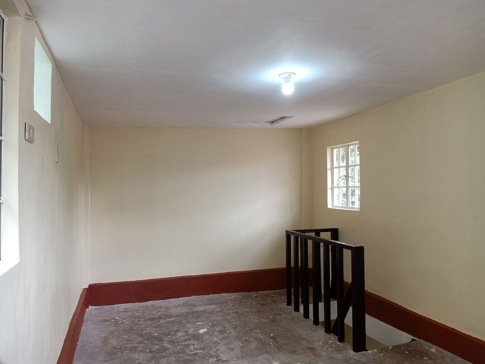 Gallery 5