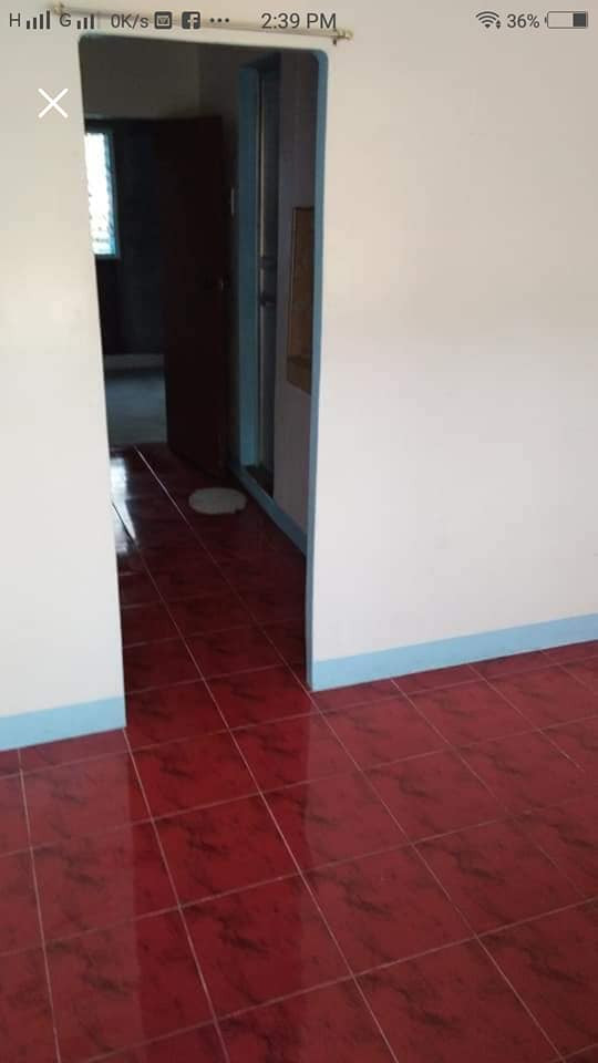Gallery 4
