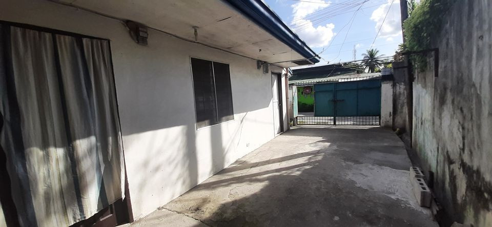 Gallery 2