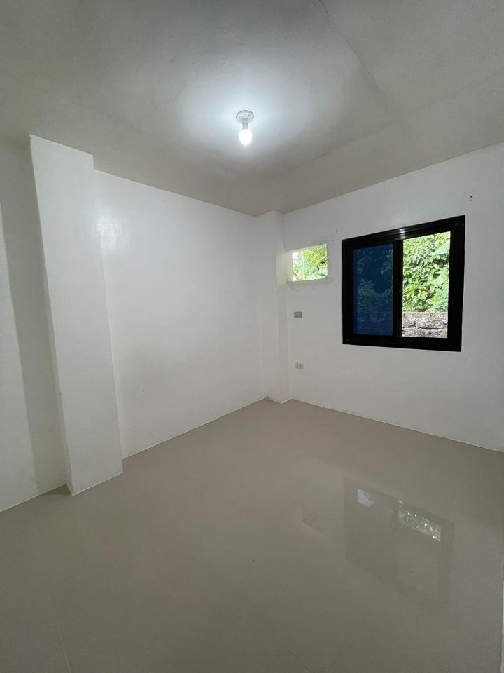 Gallery 5