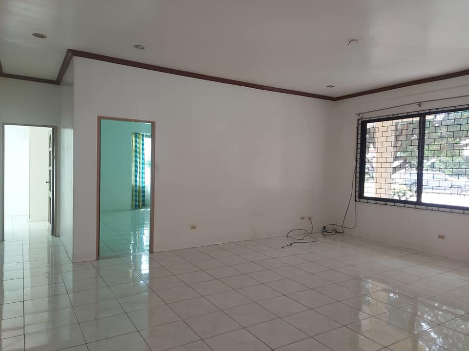 Gallery 3