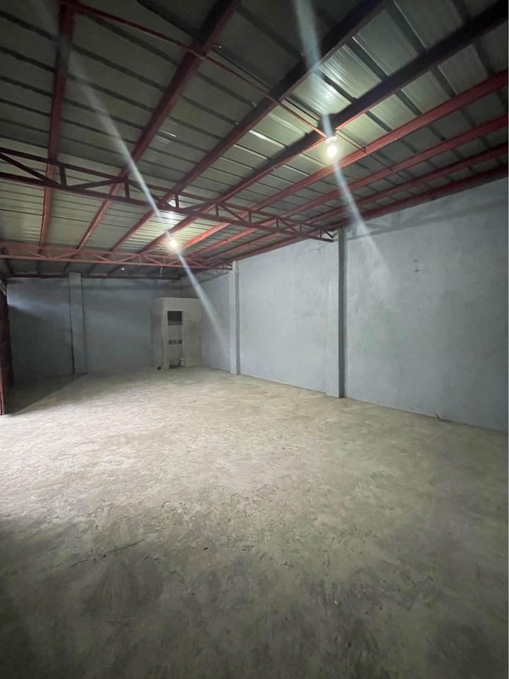Gallery 5