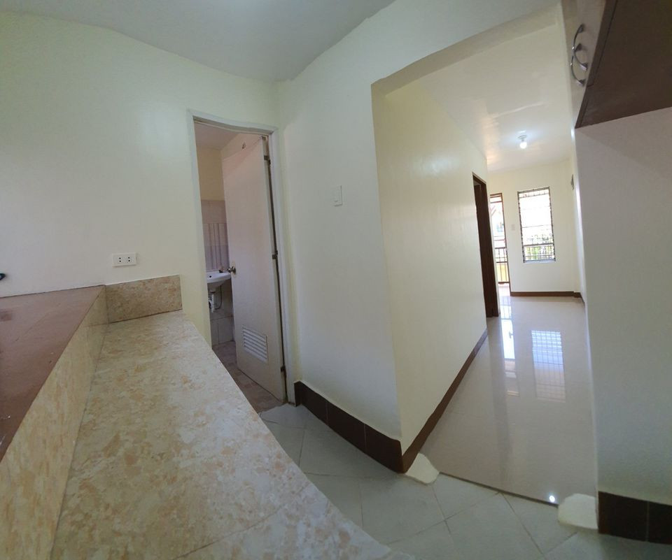 Gallery 3