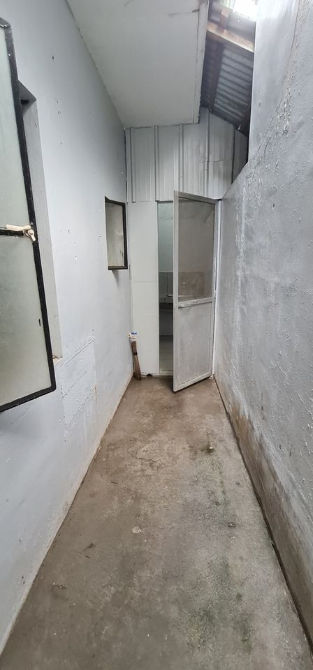 Gallery 2