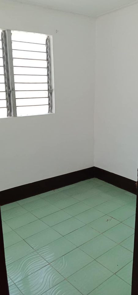 Gallery 4