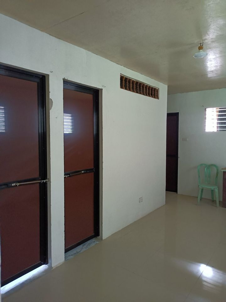 Gallery 5