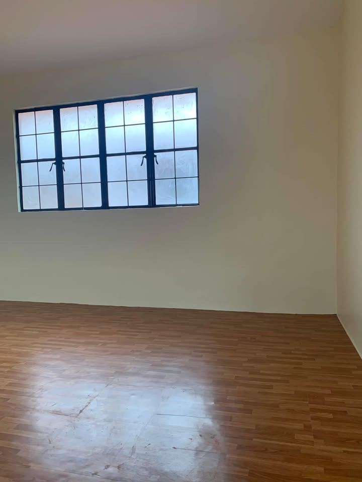 Gallery 5