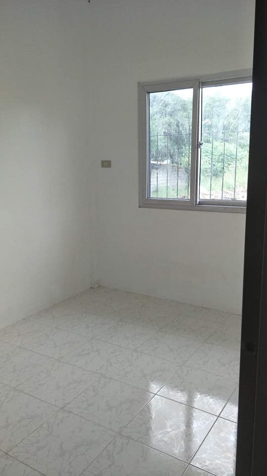 Gallery 5