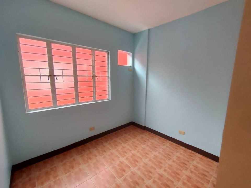 Gallery 4