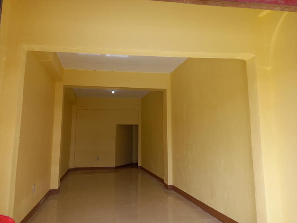 Gallery 3