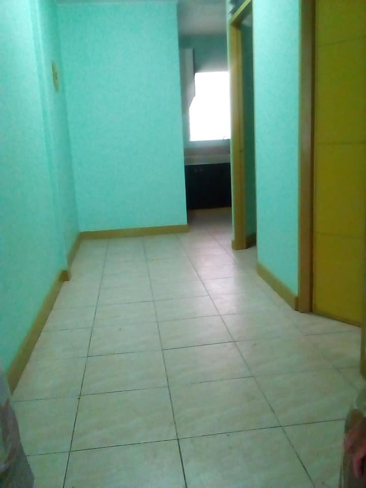 Gallery 3