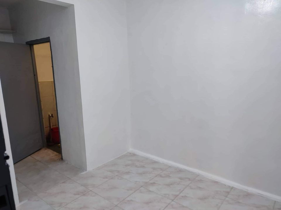 Gallery 4