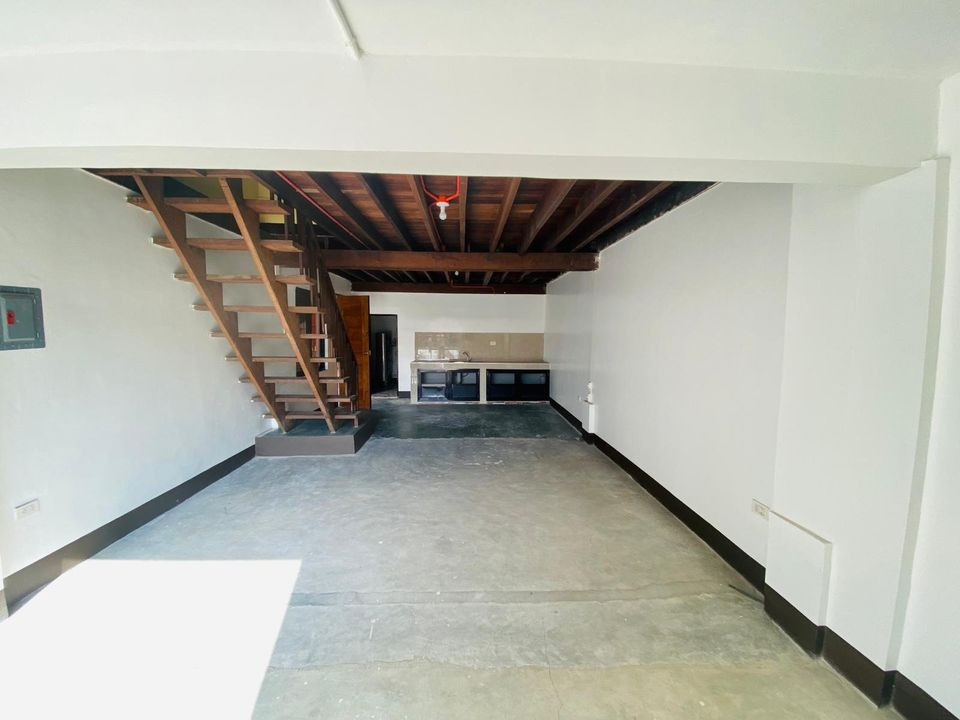 Gallery 3