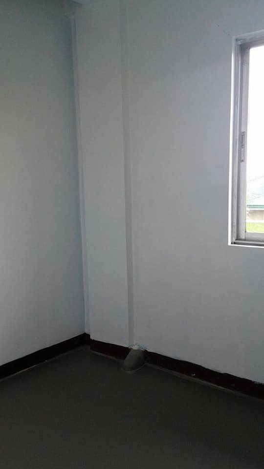 Gallery 5
