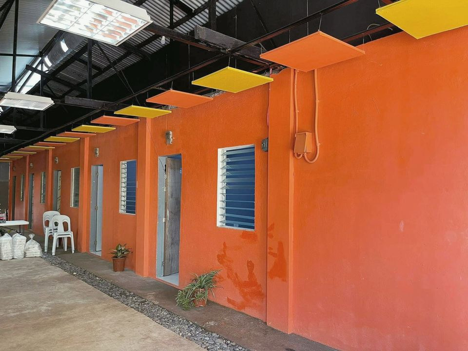 Gallery 3