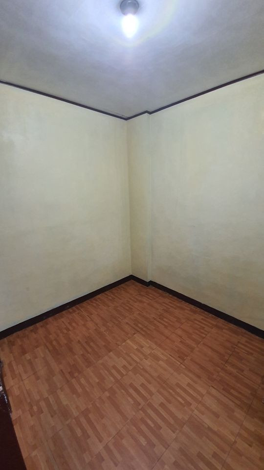 Gallery 4