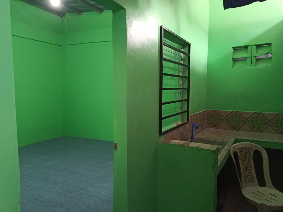 Gallery 4