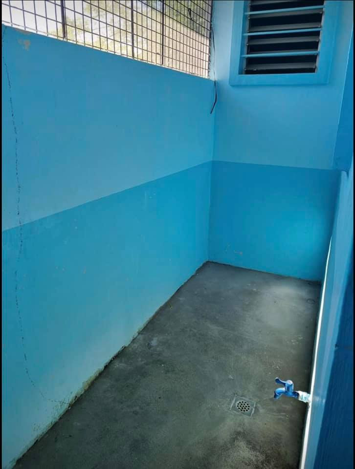 Gallery 4