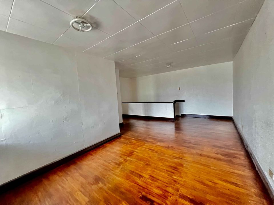 Gallery 5