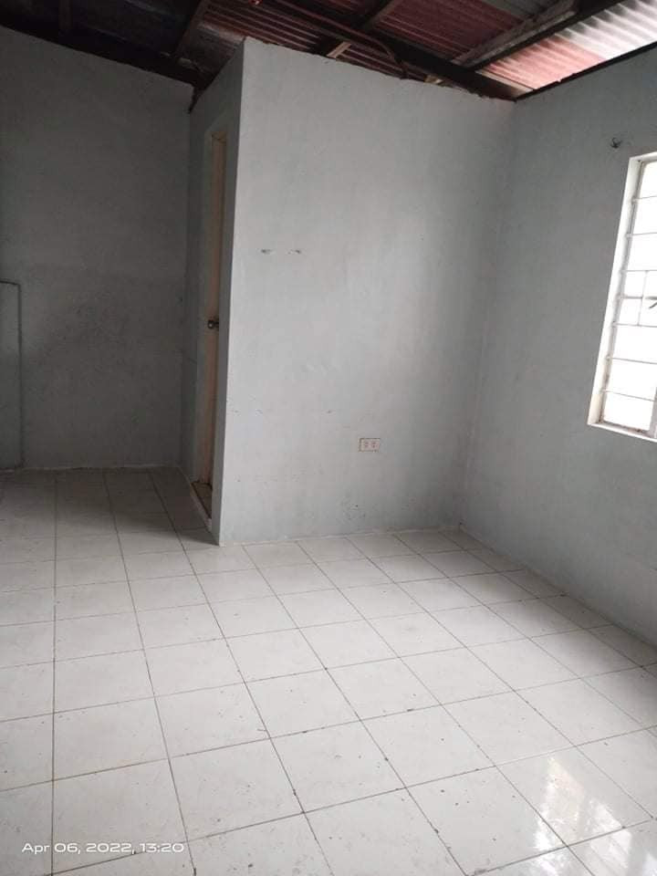 Gallery 5