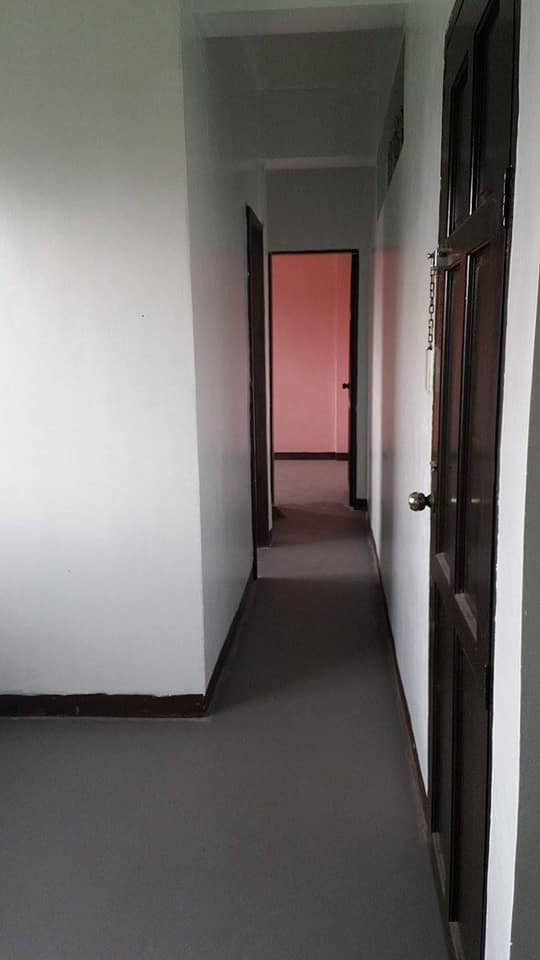 Gallery 3